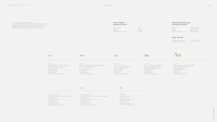 Terra-case-study-image-2b EZE Our service image